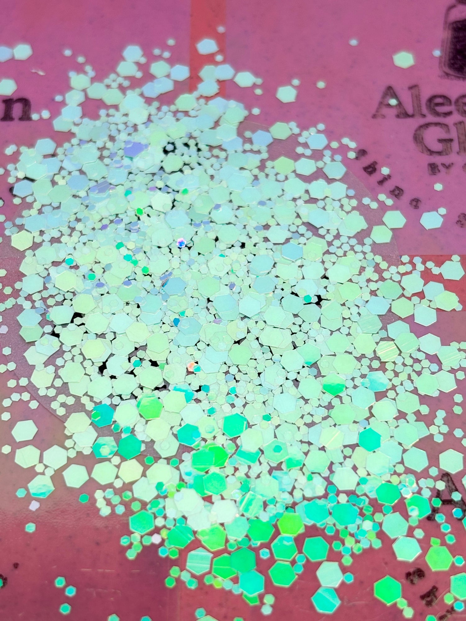 The Snow Globe Collection