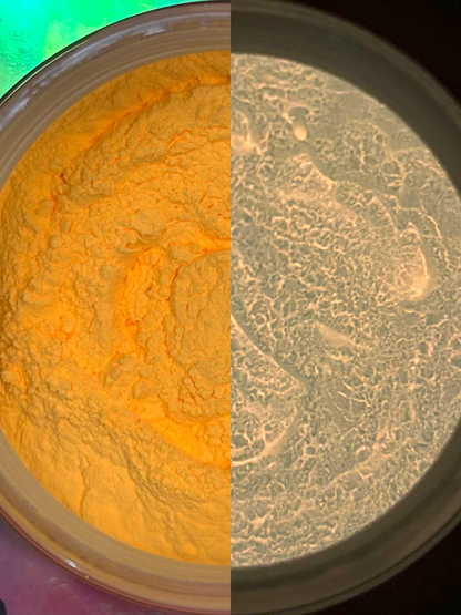 Clementine Crush Mica Powder (Glow-in-the-Dark)