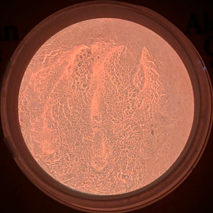 Coraline Pink Mica Powder (Glow-in-the-Dark)