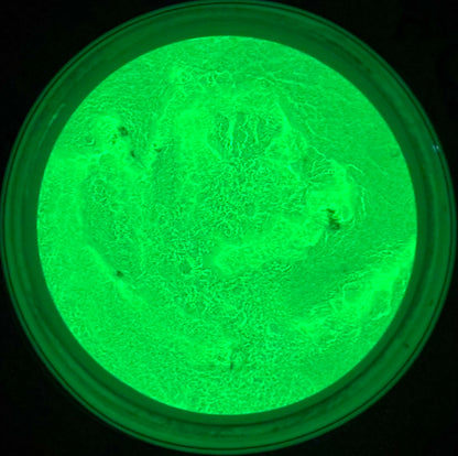 Ghosted Green Mica Powder (Glow-in-the-Dark)