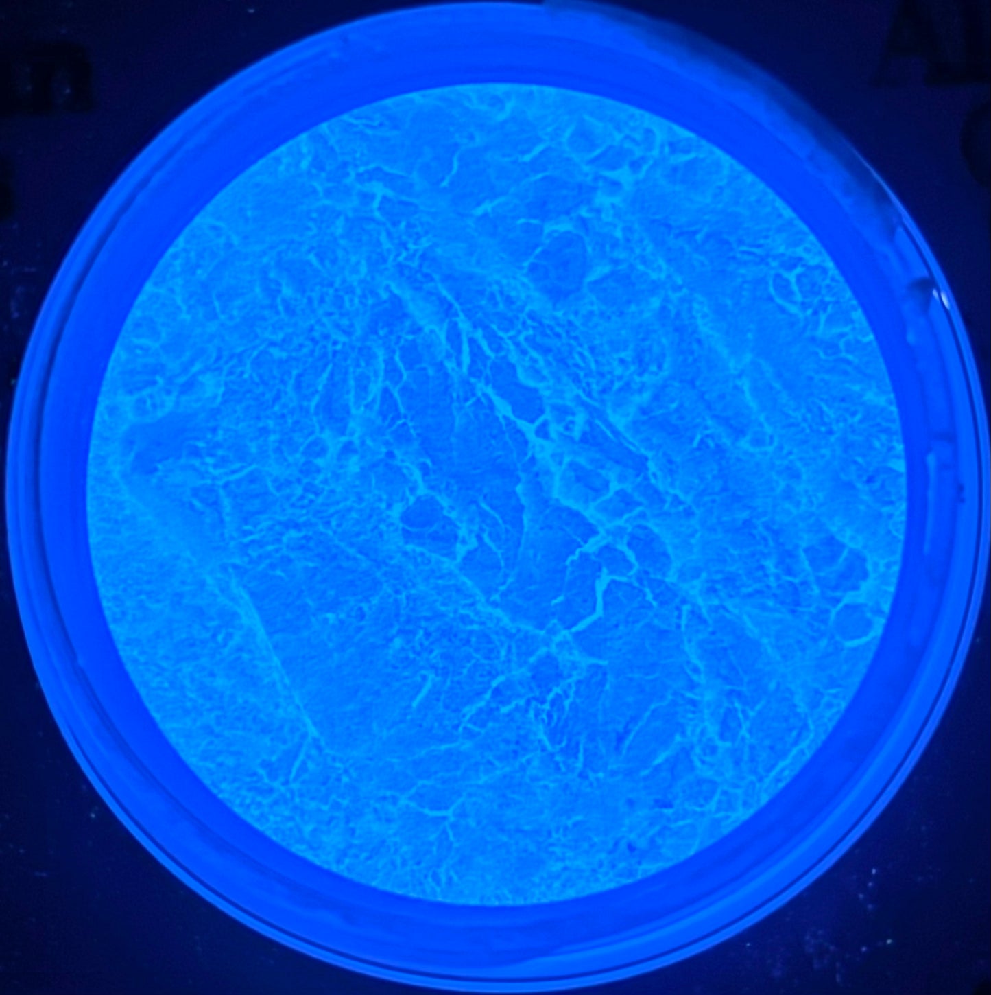 Violet Whirl Mica Powder (Glow-in-the-Dark)